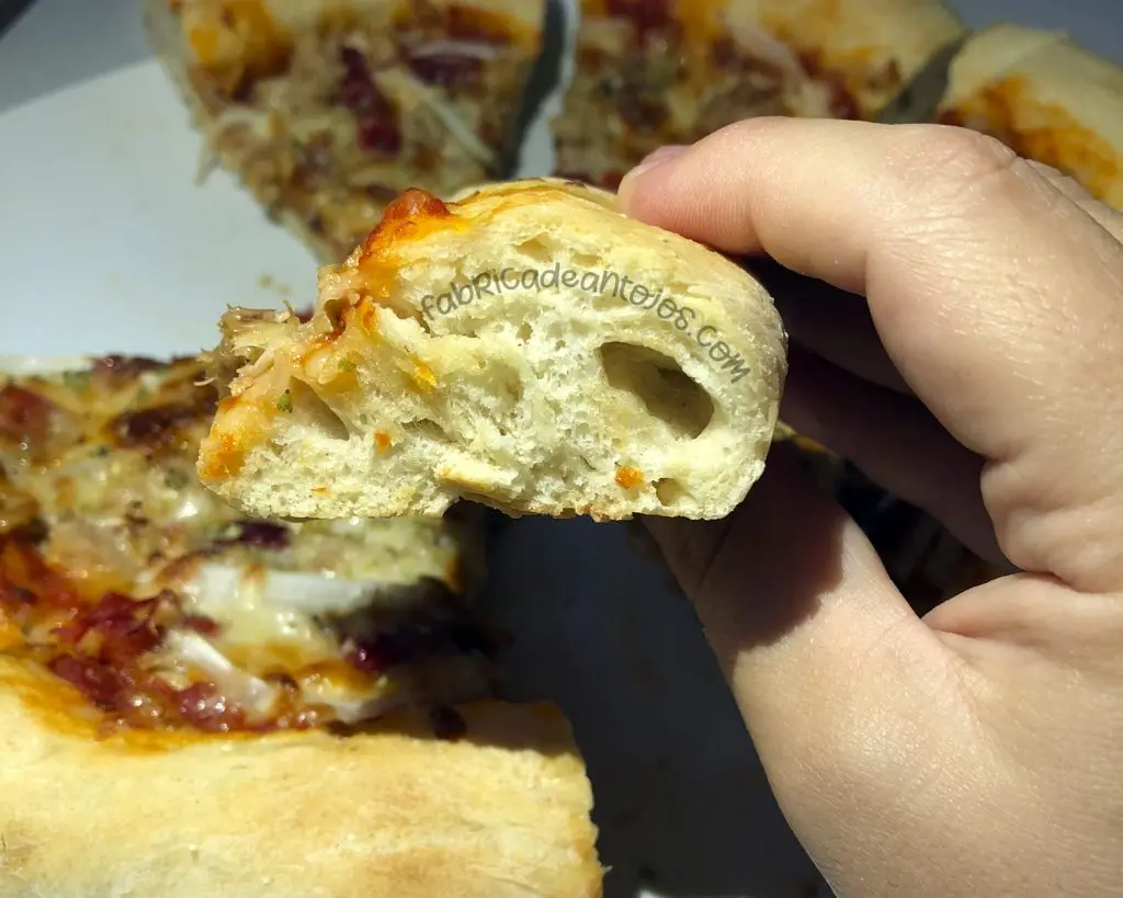 masa de pizza con burbujas - Cómo se llama las burbujas de la pizza
