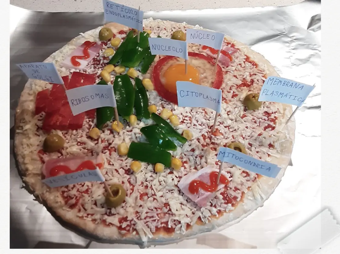 pizza celular - Cuál es la definición de celulas